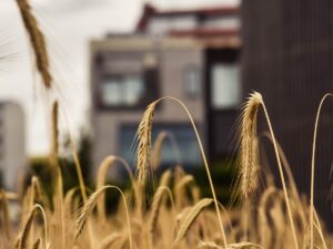 Lire la suite à propos de l’article Bâtiments et quartiers résilients