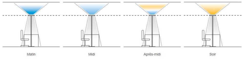 Eclairage biodynamique: l’éclairage intelligent par excellence pour les bâtiments